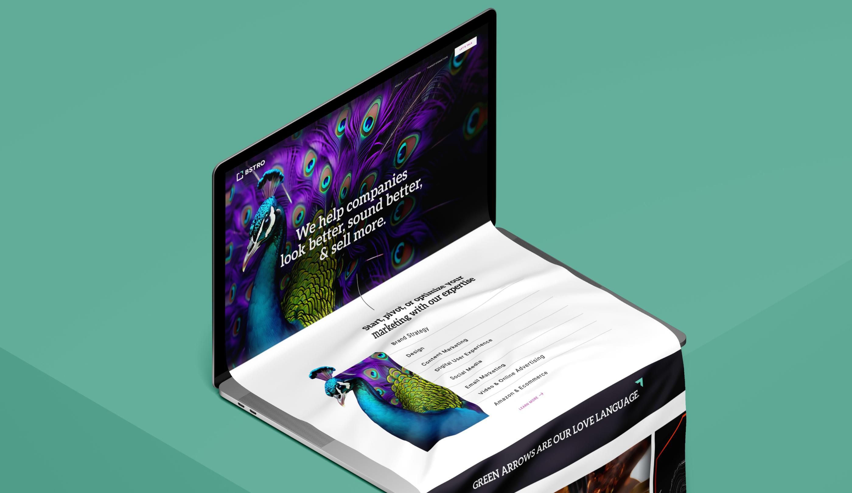 BSTRO website cover image